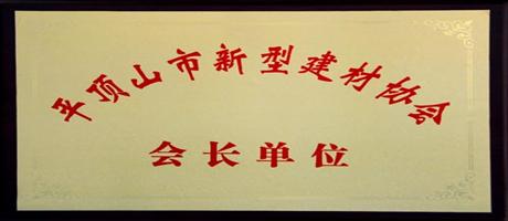 世俱杯(中国)公司被授予“平顶山市新型建材协会会长单位”