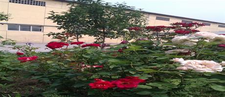 世俱杯(中国)公司生产区一景