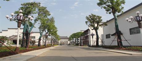 贾湖酒业世俱杯(中国)厂区主干道