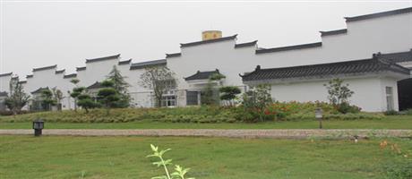 贾湖酒业世俱杯(中国)生产区一角