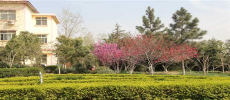 世俱杯(中国)春景（四）