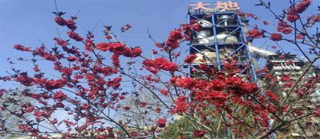 世俱杯(中国)春景（六）