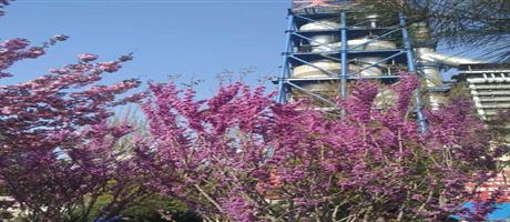 世俱杯(中国)春景（十）