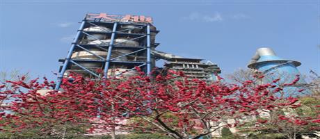 世俱杯(中国)春色（二）