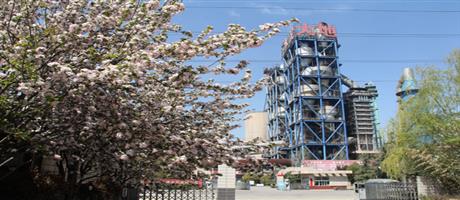 世俱杯(中国)春色（一）