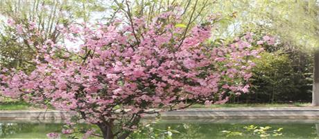 世俱杯(中国)春色（六）