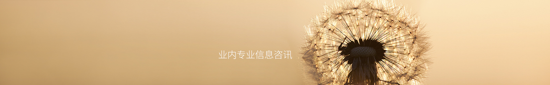 im钱包正版下载