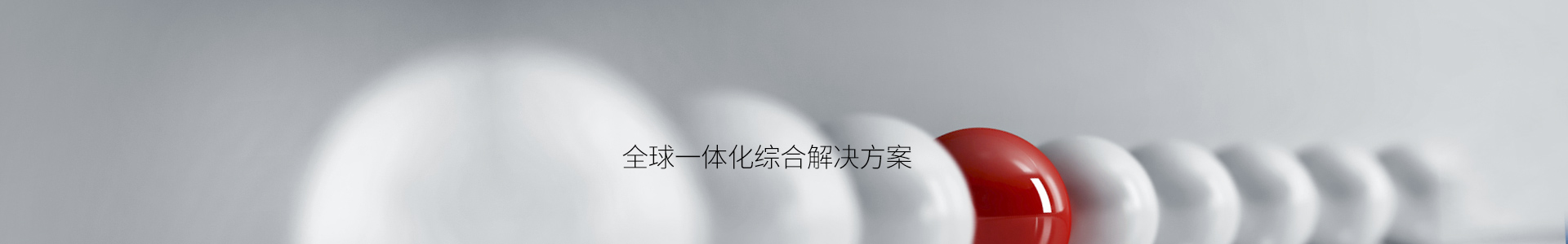 im钱包下载中文版